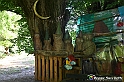 VBS_4879 - Il bosco fatato - Montaldo Roero